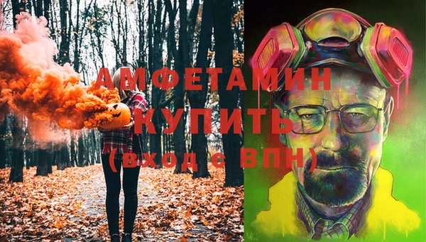 прущие грибы Беломорск